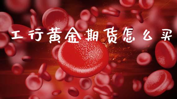 工行黄金期货怎么买_https://www.kuaijiepai.net_国际期货_第1张
