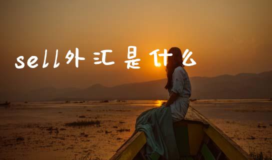 sell外汇是什么_https://www.kuaijiepai.net_国际期货_第1张