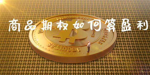 商品期权如何算盈利_https://www.kuaijiepai.net_国际股建_第1张