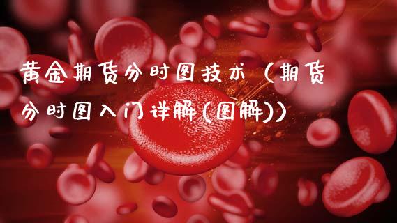 黄金期货分时图技术（期货分时图入门详解(图解)）_https://www.kuaijiepai.net_国际期货_第1张