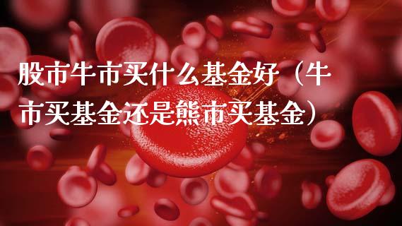 股市牛市买什么基金好（牛市买基金还是熊市买基金）_https://www.kuaijiepai.net_期货理财_第1张