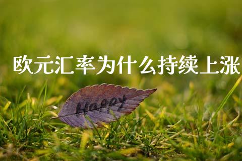 欧元汇率为什么持续上涨_https://www.kuaijiepai.net_国际期货_第1张