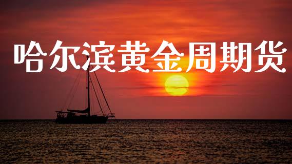 哈尔滨黄金周期货_https://www.kuaijiepai.net_期货资讯_第1张