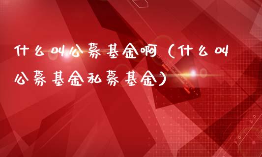 什么叫公募基金啊（什么叫公募基金私募基金）_https://www.kuaijiepai.net_期货理财_第1张