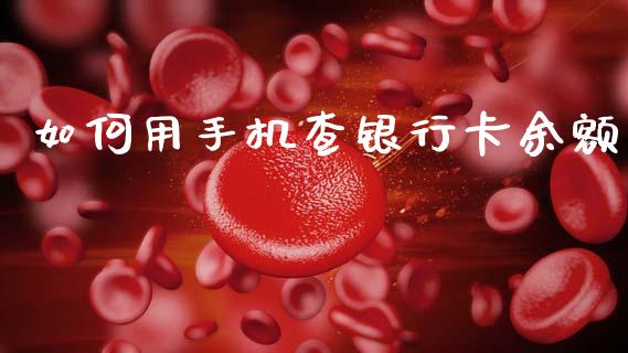 如何用手机查银行卡余额_https://www.kuaijiepai.net_国际股建_第1张