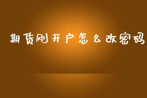 期货刚开户怎么改密码_https://www.kuaijiepai.net_期货理财_第1张