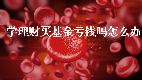 学理财买基金亏钱吗怎么办_https://www.kuaijiepai.net_期货理财_第1张