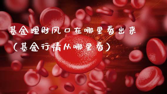 基金理财风口在哪里看出来（基金行情从哪里看）_https://www.kuaijiepai.net_投资理财_第1张
