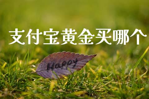 支付宝黄金买哪个_https://www.kuaijiepai.net_国际期货_第1张