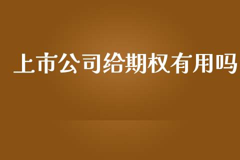 上市公司给期权有用吗_https://www.kuaijiepai.net_期货资讯_第1张