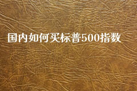 国内如何买标普500指数_https://www.kuaijiepai.net_期货资讯_第1张
