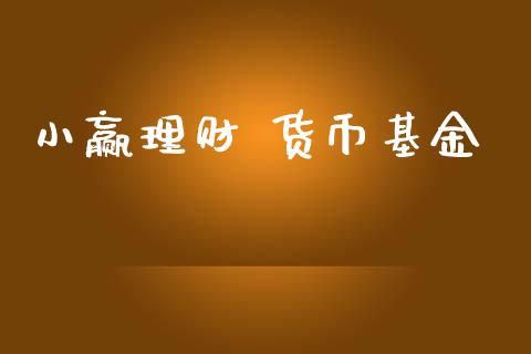 小赢理财 货币基金_https://www.kuaijiepai.net_投资理财_第1张