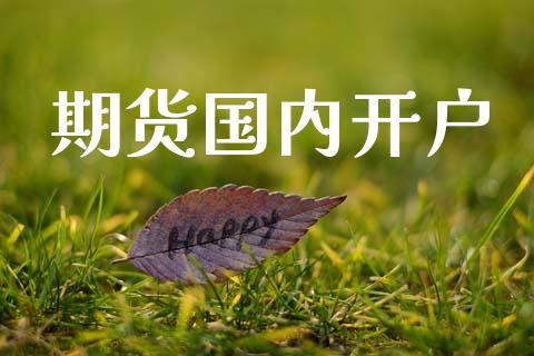 期货国内开户_https://www.kuaijiepai.net_期货在线_第1张