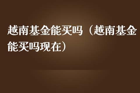 越南基金能买吗（越南基金能买吗现在）_https://www.kuaijiepai.net_期货理财_第1张