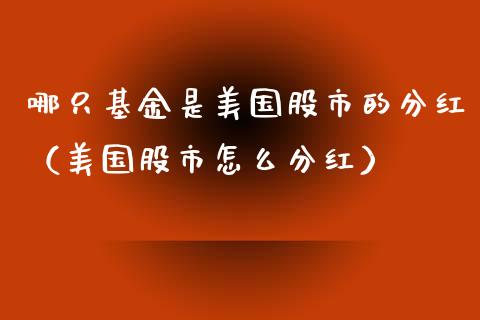哪只基金是美国股市的分红（美国股市怎么分红）_https://www.kuaijiepai.net_期货理财_第1张