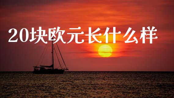 20块欧元长什么样_https://www.kuaijiepai.net_期货资讯_第1张