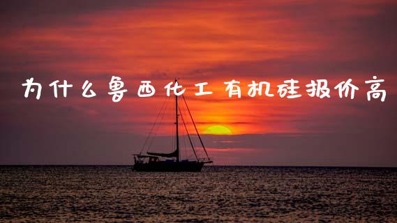 为什么鲁西化工有机硅报价高_https://www.kuaijiepai.net_期货资讯_第1张