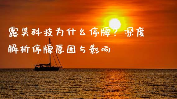 露笑科技为什么停牌?深度解析停牌原因与影响_新股新闻_第1张_快捷排财经网 露笑科技为什么停牌?深度解析停牌原因与影响_https://www.kuaijiepai.net_新股新闻_第1张