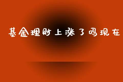 基金理财上涨了吗现在_https://www.kuaijiepai.net_期货理财_第1张