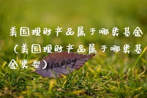 美国理财产品属于哪类基金（美国理财产品属于哪类基金类型）_https://www.kuaijiepai.net_期货理财_第1张