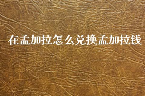 在孟加拉怎么兑换孟加拉钱_https://www.kuaijiepai.net_投资理财_第1张