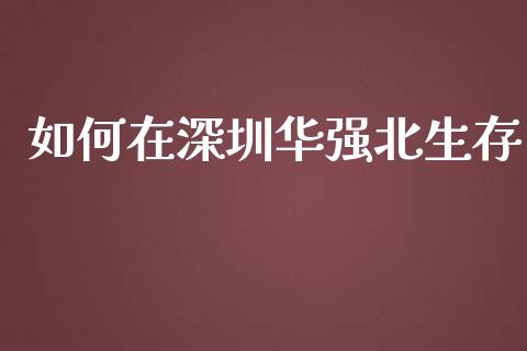 如何在深圳华强北生存_https://www.kuaijiepai.net_投资理财_第1张