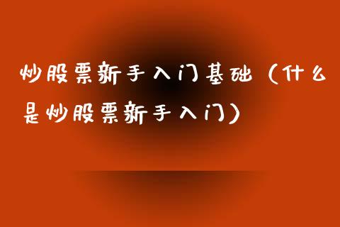炒股票新手入门基础（什么是炒股票新手入门）_https://www.kuaijiepai.net_新股新闻_第1张