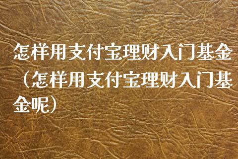 怎样用支付宝理财入门基金（怎样用支付宝理财入门基金呢）_https://www.kuaijiepai.net_投资理财_第1张