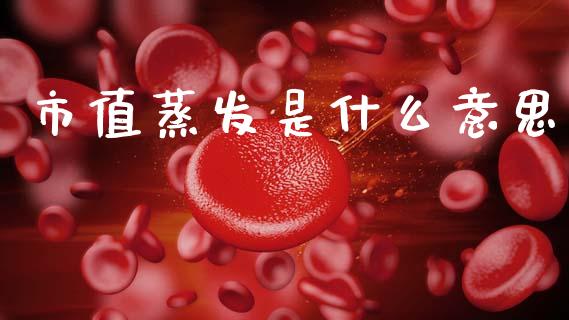 市值蒸发是什么意思_https://www.kuaijiepai.net_国际股建_第1张