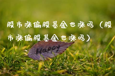 股市涨偏股基金也涨吗（股市涨偏股基金也涨吗）_https://www.kuaijiepai.net_投资理财_第1张
