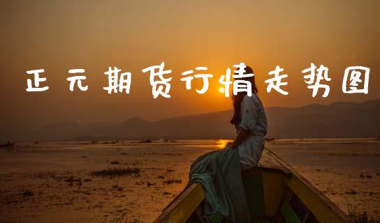 正元期货行情走势图_https://www.kuaijiepai.net_期货资讯_第1张