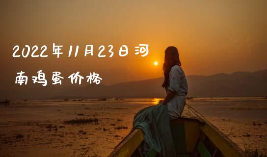 2022年11月23日河南鸡蛋价格_https://www.kuaijiepai.net_国际期货_第1张