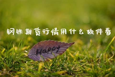 钢铁期货行情用什么软件看_https://www.kuaijiepai.net_期货在线_第1张