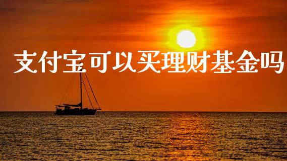 支付宝可以买理财基金吗_https://www.kuaijiepai.net_投资理财_第1张