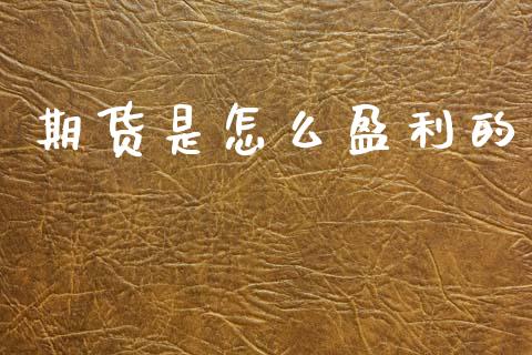 期货是怎么盈利的_https://www.kuaijiepai.net_国际期货_第1张