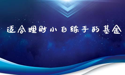 适合理财小白练手的基金_https://www.kuaijiepai.net_投资理财_第1张