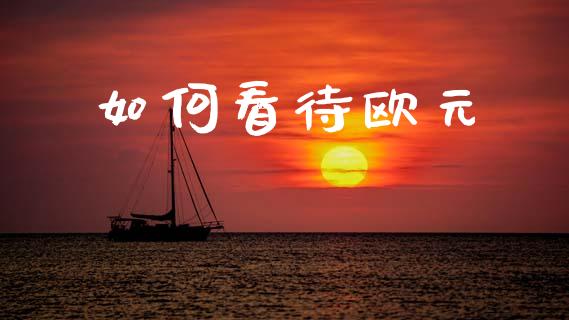 如何看待欧元_https://www.kuaijiepai.net_投资理财_第1张