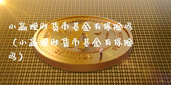 小赢理财货币基金有保险吗（小赢理财货币基金有保险吗）_https://www.kuaijiepai.net_期货理财_第1张