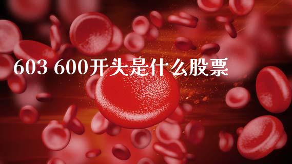 603 600开头是什么股票_https://www.kuaijiepai.net_期货理财_第1张
