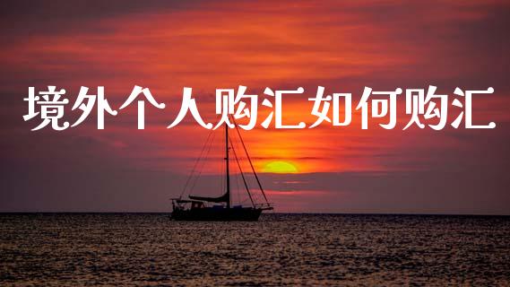 境外个人购汇如何购汇_https://www.kuaijiepai.net_期货在线_第1张
