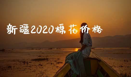 新疆2020棉花价格_https://www.kuaijiepai.net_期货资讯_第1张