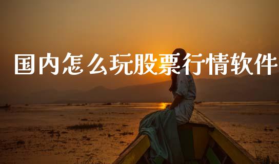 国内怎么玩股票行情软件_https://www.kuaijiepai.net_股票理论_第1张