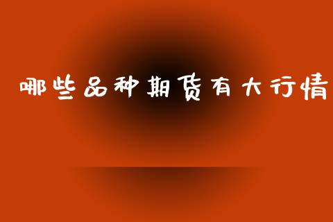 哪些品种期货有大行情_https://www.kuaijiepai.net_期货资讯_第1张