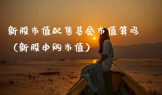 新股市值配售基金市值算吗（新股申购市值）_https://www.kuaijiepai.net_投资理财_第1张