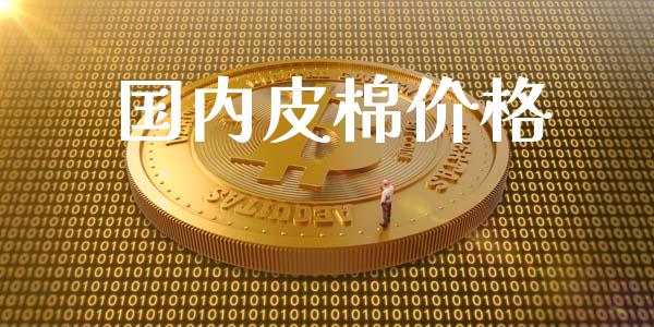 国内皮棉价格_https://www.kuaijiepai.net_期货资讯_第1张