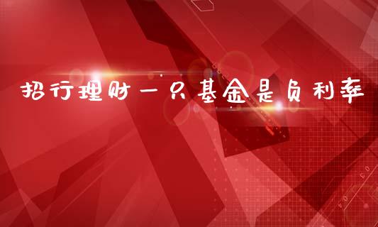 招行理财一只基金是负利率_https://www.kuaijiepai.net_投资理财_第1张