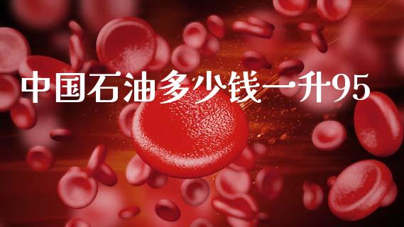 中国石油多少钱一升95_https://www.kuaijiepai.net_期货在线_第1张