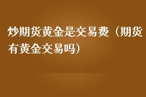 炒期货黄金是交易费（期货有黄金交易吗）_https://www.kuaijiepai.net_期货资讯_第1张