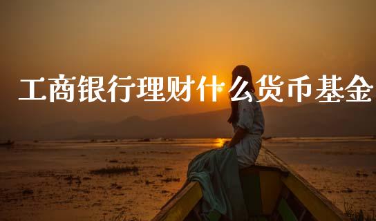 工商银行理财什么货币基金_https://www.kuaijiepai.net_投资理财_第1张