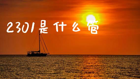 2301是什么管_https://www.kuaijiepai.net_国际期货_第1张